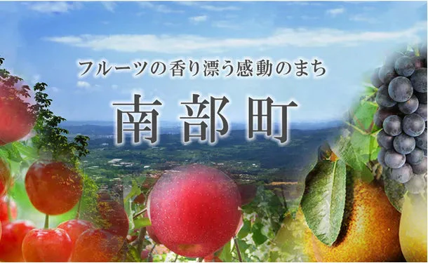 四戸農園 青森県産「特選葉とらずサンふじ」4kg(13玉前後) - Image 4