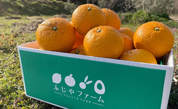 「紅八朔」約4kg(12個前後)