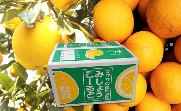 愛媛県産「河内晩柑(みしょうゴールド)」5kg