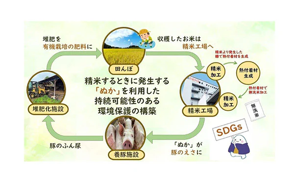 全農パールライス「無洗米千葉県産コシヒカリ」5kg - Image 4