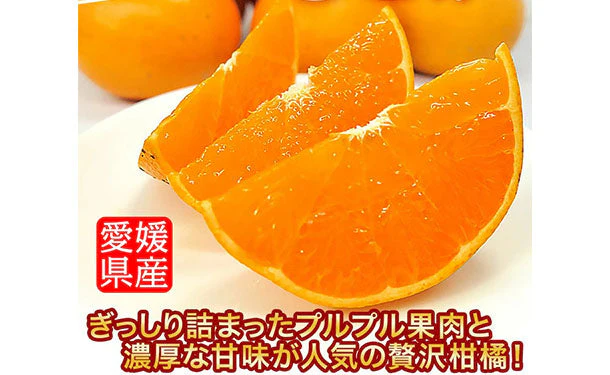 愛媛県産「訳あり せとか 中~大玉(L~4L)」5kg - Image 2