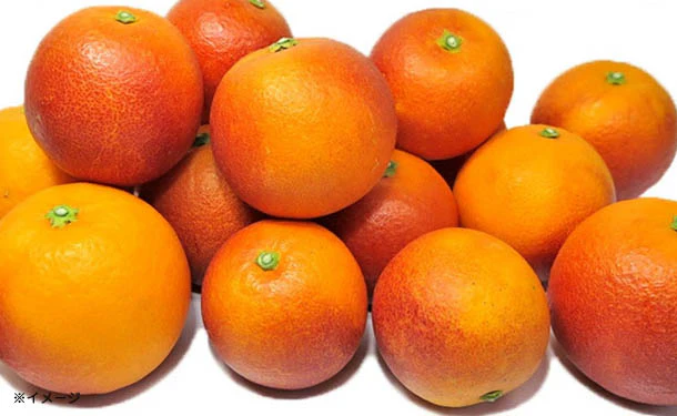 愛媛県産「訳ありブラッドオレンジ(2S-3L)」3kg