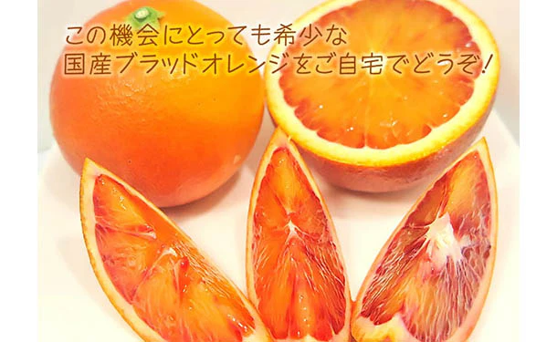 愛媛県産「訳ありブラッドオレンジ(2S-3L)」3kg - Image 3