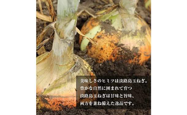 「えびすもち豚と淡路牛の合挽ハンバーグ」150g - Image 3