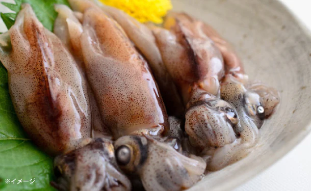 兵庫県産「生ホタルイカ」1kg
