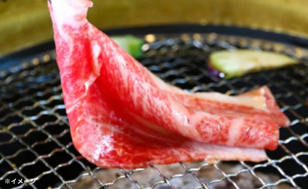 鹿児島県産「黒毛和牛 小間切れ 切り落し」500g