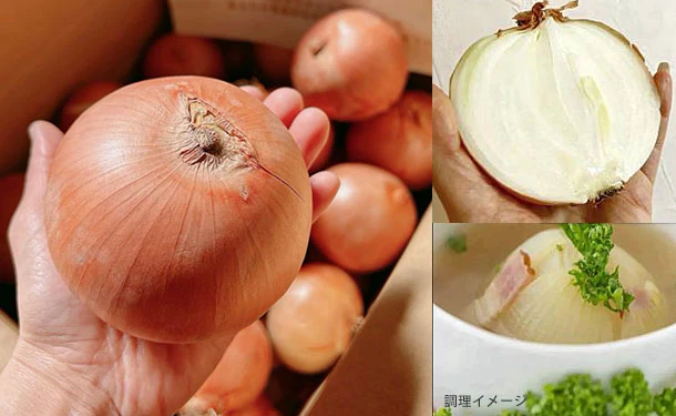 「青果専門仲卸が目利き・選果済み!つやつや玉ねぎ」約2kg
