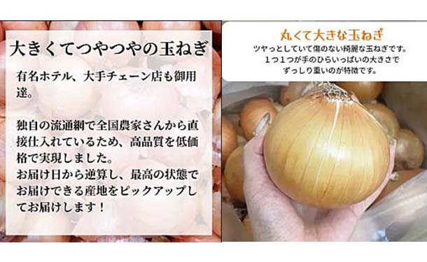 「青果専門仲卸が目利き・選果済み!つやつや玉ねぎ」約2kg - Image 3