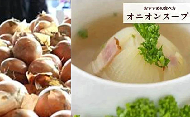 「青果専門仲卸が目利き・選果済み!つやつや玉ねぎ」約2kg - Image 5