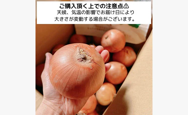 「青果専門仲卸が目利き・選果済み!つやつや玉ねぎ」約2kg - Image 4