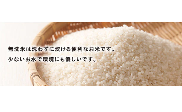 全農パールライス「無洗米茨城県産ミルキークイーン」5kg - Image 6