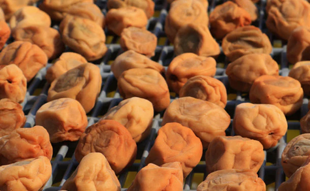 「減塩 紀州産南高梅 つぶれ梅 はちみつ味 梅干し 塩分3％」270g - Image 3