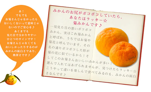 愛媛県産「吉田みかん（L～3L）」5kg - Image 4