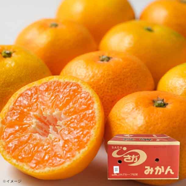 佐賀県産「唐津みかん S~3Lサイズ」5kg - Image 2