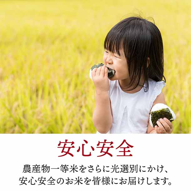 令和6年産「はえぬき 無洗米」5kg - Image 7