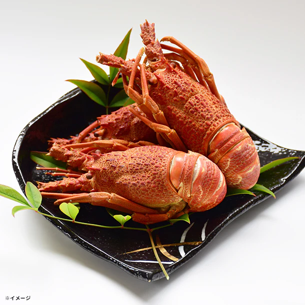 「ロブスター(味付)」4尾入