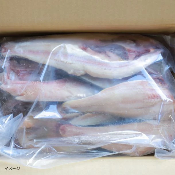 【Kuradashiオリジナル】わけあり干物 真ほっけ&縞ほっけ 1.8kg - Image 2