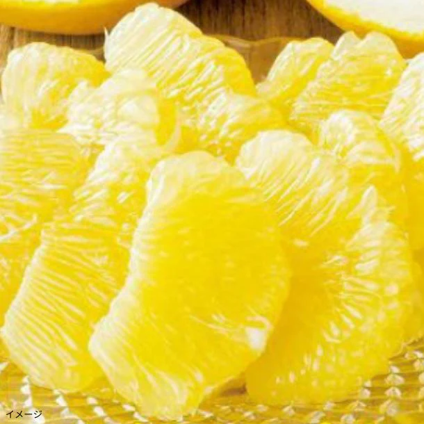 熊本県産「ジューシーオレンジ(河内晩柑)」約4kg(10~15玉)