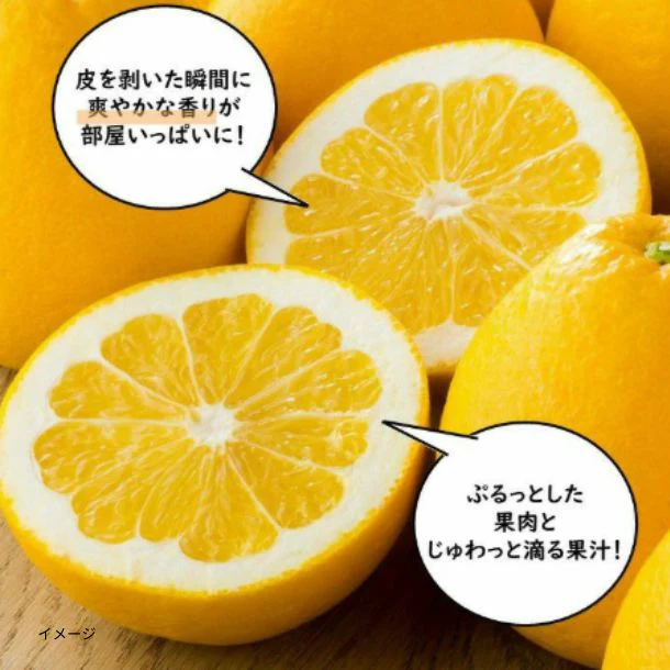 熊本県産「ジューシーオレンジ(河内晩柑)」約4kg(10~15玉) - Image 2