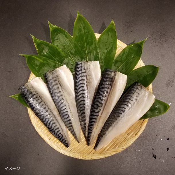 「骨取済み 無塩 トロさば&縞ほっけフィーレ 各1kg」計2kg - Image 2