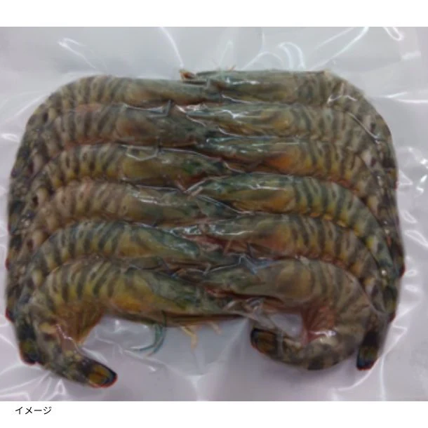 鹿児島県産「養殖 活き〆冷凍車海老 バラ13尾」約300g - Image 2