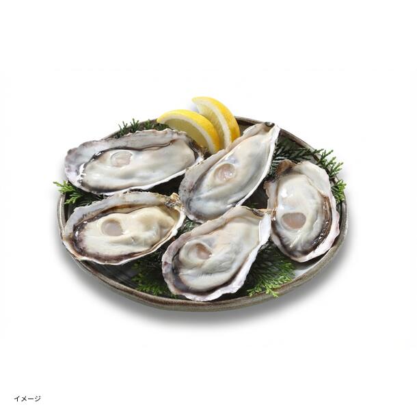 兵庫県産「超高圧殻付きかき Sサイズ」12個