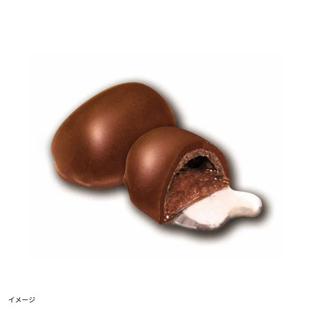 「日本酒ボンボンチョコレート 浜福鶴 生酛純米辛口（兵庫灘五郷）」約130粒 - Image 4