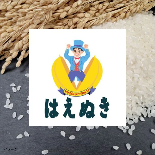 山形県庄内産「はえぬき 白米」5kg