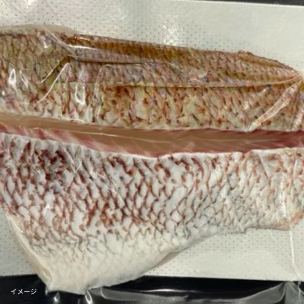 高知県産「真鯛4節背・腹セット(骨なし・皮付き)」600g - Image 2