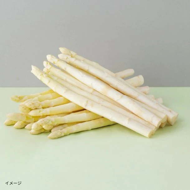北海道産「ホワイトアスパラガス」500g